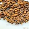 professionally supply bulk 2015 barley malt from for beer specification barley with competitive pric