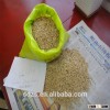 feed barley from Russia