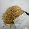 2-row Australian barley malt for beer production with best price