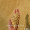 wholesale price barley grains