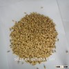 specification feed barley of Australia origin