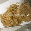 Australia barley for beer factory spot supply
