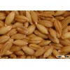 We sell Barley (Forward Contract)