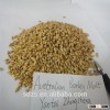 Australian Hindmarsh barley for beer