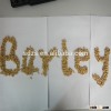 Hot sell bulk supply of Australian beer barley malt