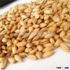 Brew barley for sale,beer production
