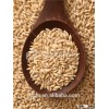 animal feed barley prices cheapeast