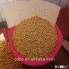 bulk malted barley for sale