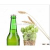 We supply good quality Australian barley barley for beer making at best price