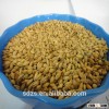 offer good quality of Australian beer barley malt with lowest price