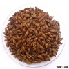good quality bulk Australian beer barley Hindmarsh at wholesaler price