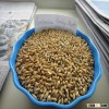 top grade of barley for beer
