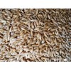 malted barley for beer production