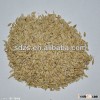 specification green barley seeds
