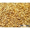 Australian origined barley malt moisture max 12.5% at hot supply