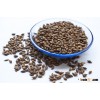 good quality barley from Australian beer barley in stock barley supplier