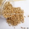 Large quantity raw animal feed barley instead of maize