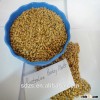 Yantai Zhongsheng offer good packaged barley malt for beer specification