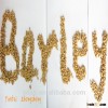 bulk barley grain with different grades