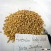 bulk 2-row barley malt originated Australia with competitive quotation