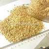 bulk container supply of 2015 crop Australian beer barley Hindmarsh