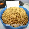 reliable supplier of Australian barley malt for beer specification 2-row barley malt