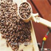 good quality of animal feed barley grain in bulk with best price