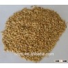 Animal feed barley of Ukraine origin
