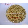 Barley for malt / Barley feed grade / Barley