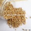 Bulk fodder barley with good price for animals