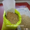 2015 bulk Ukraine feed barley for sale