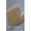 top Australian beer barley, animal feed barley in large quantity supply