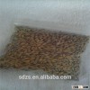 French spring barley grain Sebastian in hot sale