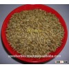 Barley malt / Hordeum vulgare Malt / Malt Grains Barley /
