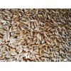 Barley for livestock feed with high crude protein