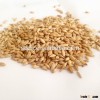 Barley for beer,origin Australia with good quality