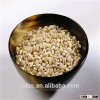 French spring barley grain Tipple with best price