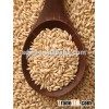 feed barley in cheapest price