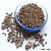 French spring barley grain Henley with competitive price