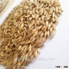 Requirements of cheap feed barley