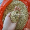 Animal feed barley in bulk from Russia