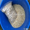 Raw barley for malting