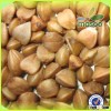 Chinese bulk dried brown groats wholesale roasted buckwheat