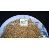 Indian Barley Grain A1 Quality