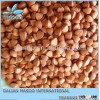 Organic Black Tartary Buckwheat