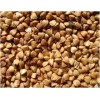 Roasted Buckwheat