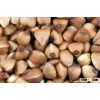 Super Quality Buckwheat