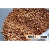 roasted buckwheat