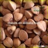 CHINA BUCKWHEAT, ROASTED BUCKWHEAT, CHINA ORGANIC RAW BITTER BUCKWHEAT KERNEL LOW PRICE