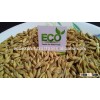 Barley Excellent Quality